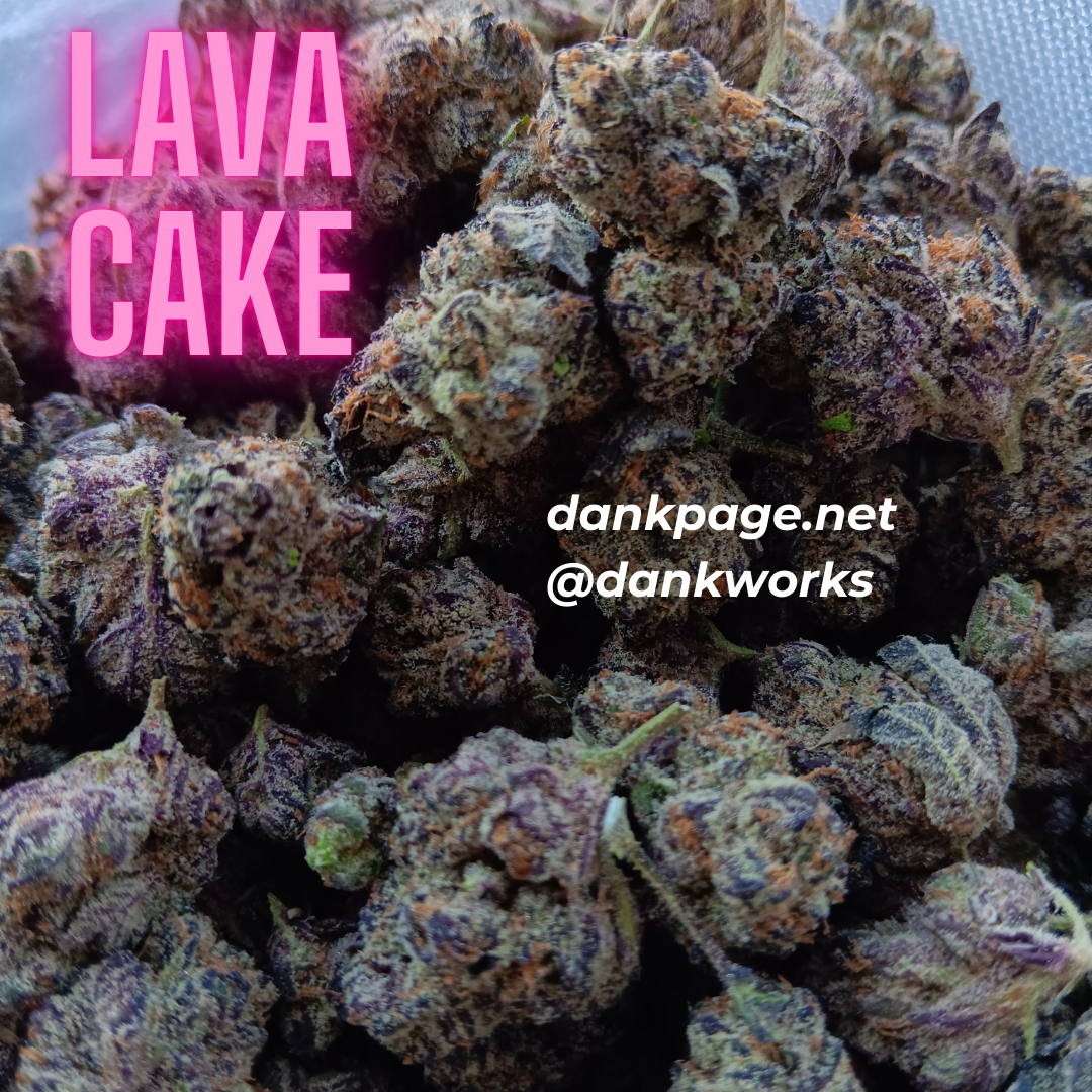 Lava Cake Strain Dankworks