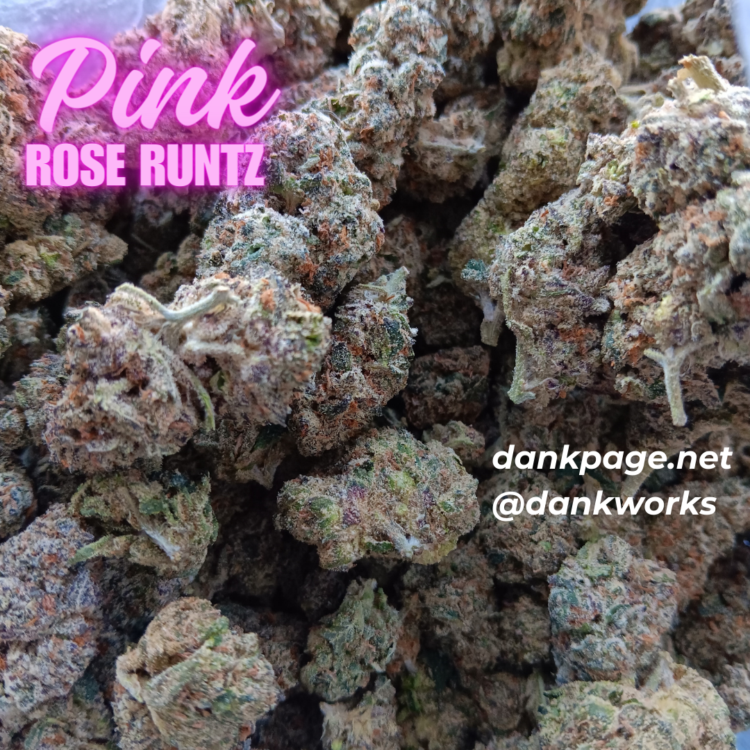 Pink Rose Runtz Strain Dankworks