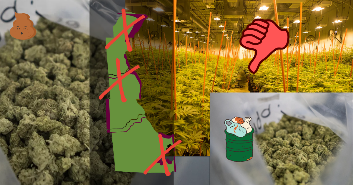 Read more about the article Where’s The Weed, Delaware?: Delaware’s Recreational Cannabis Outlook