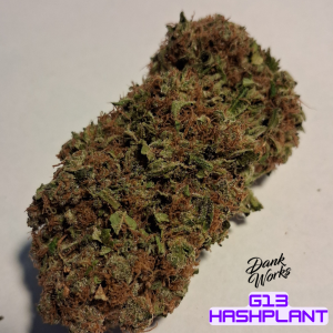 G13 HASHPLANT FLOWER BY DANK WORKS CANNABIS